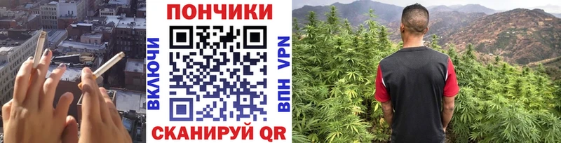 Конопля MAZAR  Новый Оскол 
